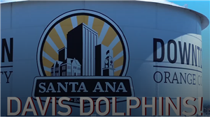 Davis Dolphins!